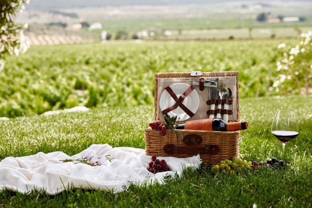 Cesta de picnic con copa de vino sobre césped y fondo de viñedos.